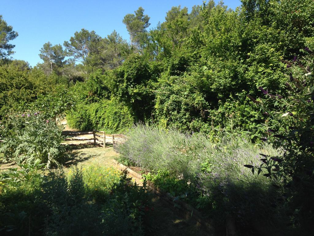 Cabane De La Leque Fontvieille Extérieur photo